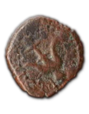 Widow's Mite and Author signed 'Money of the Bible' book