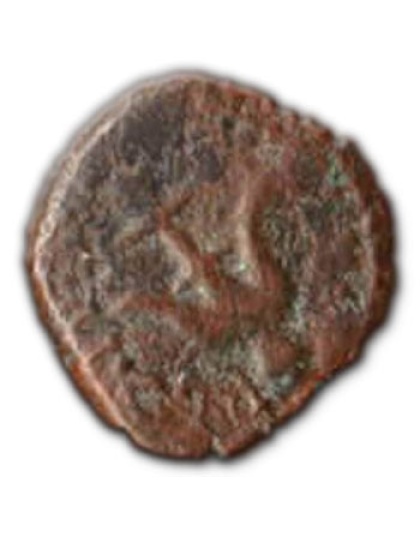 Widow's Mite and Author signed 'Money of the Bible' book