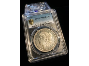 1891 Morgan PR63CAM